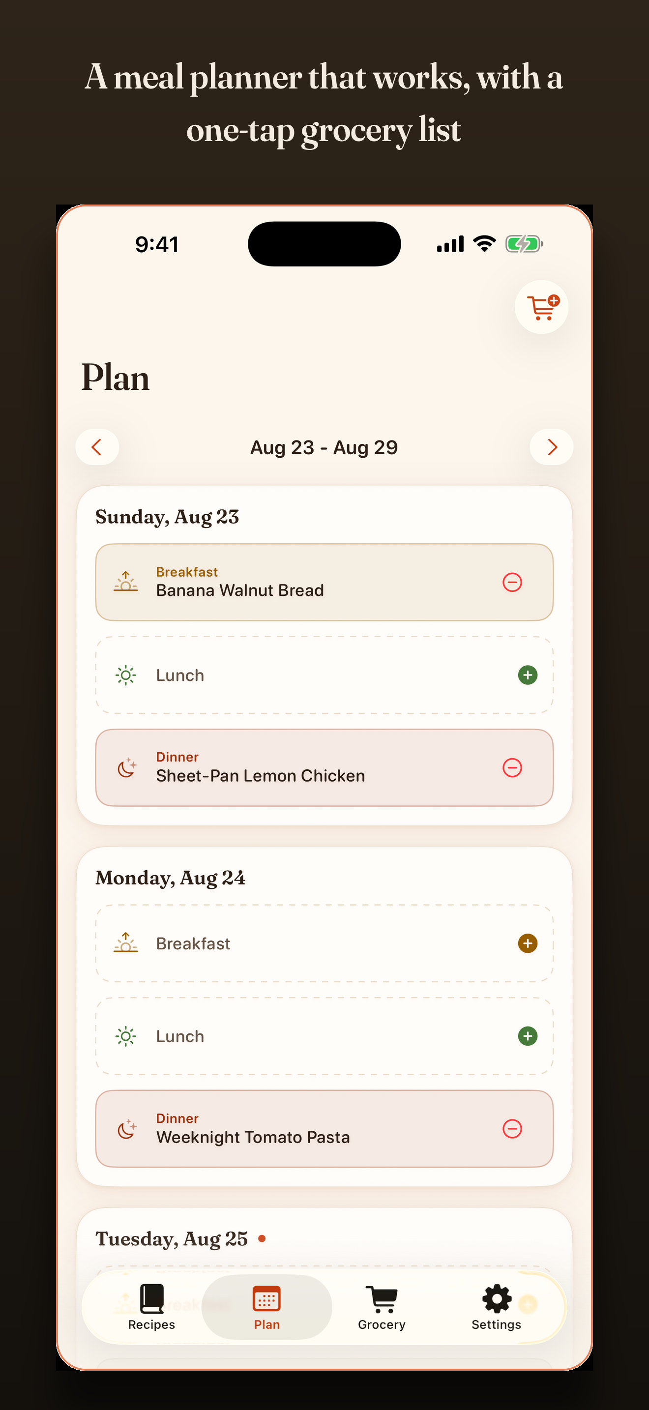 The weekly planner